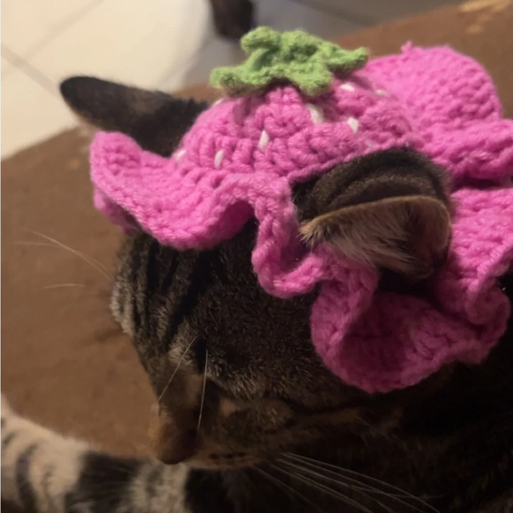 Crochet Strawberry Pink Bucket hat for Cats
